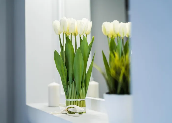 Lägenhet Market Square - Rynek 44 - Opposit Town Hall - 3 Wrocław