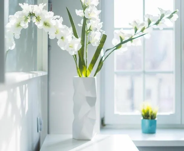 Market Square - Rynek 44 - Opposit Town Hall - 3 *