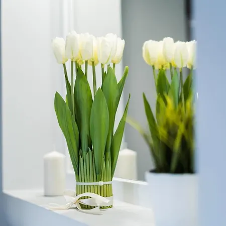 Διαμέρισμα Market Square - Rynek 44 - Opposit Town Hall - 3 Βρότσλαβ